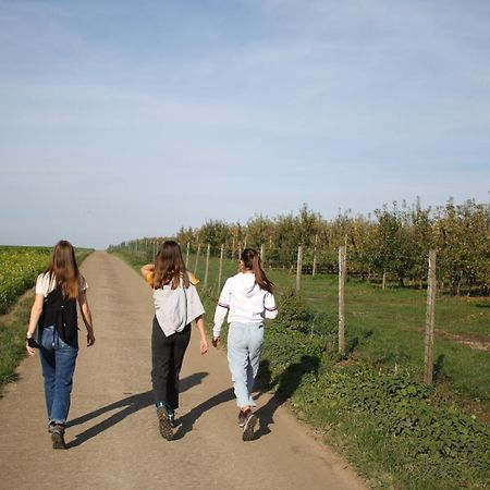 Hoeve Jadoul Gingelom Exteriör bild