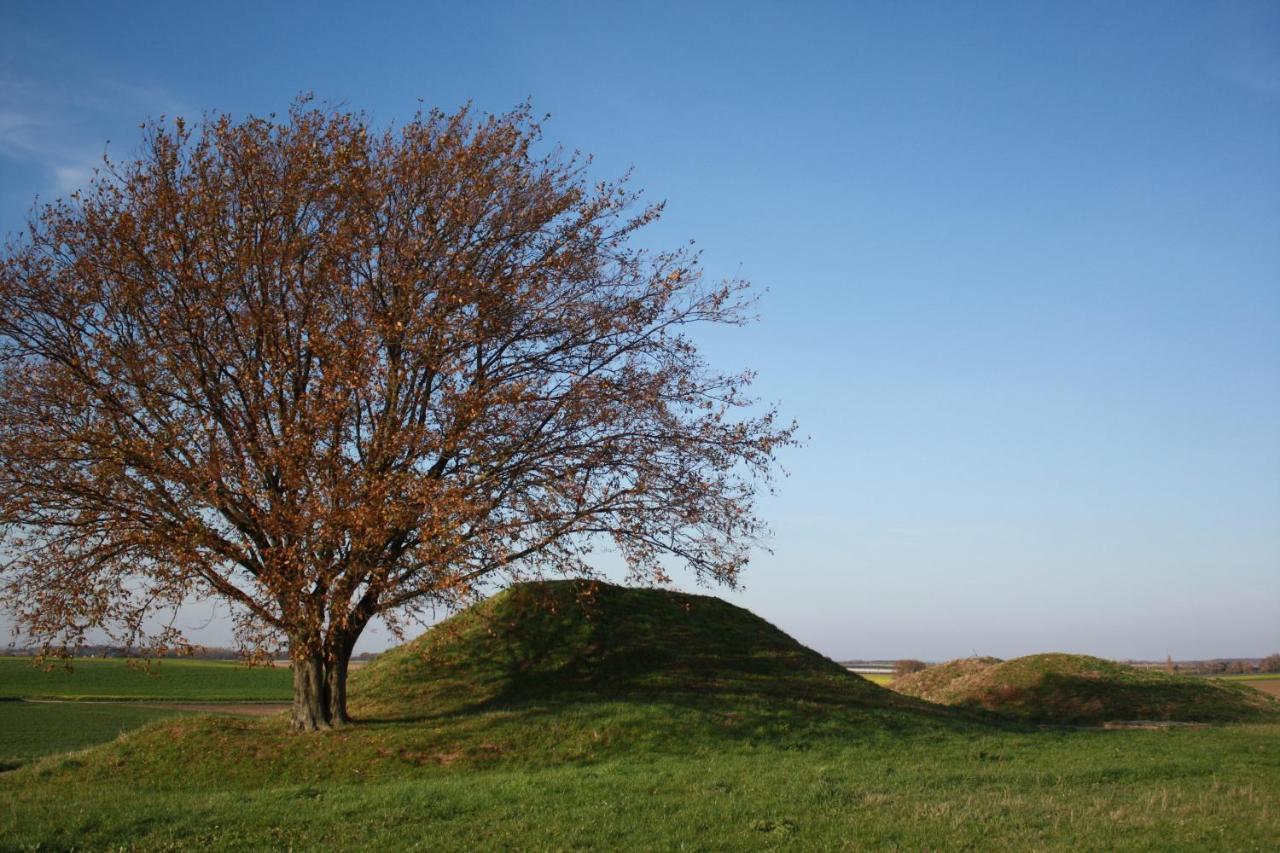 Hoeve Jadoul Gingelom Exteriör bild