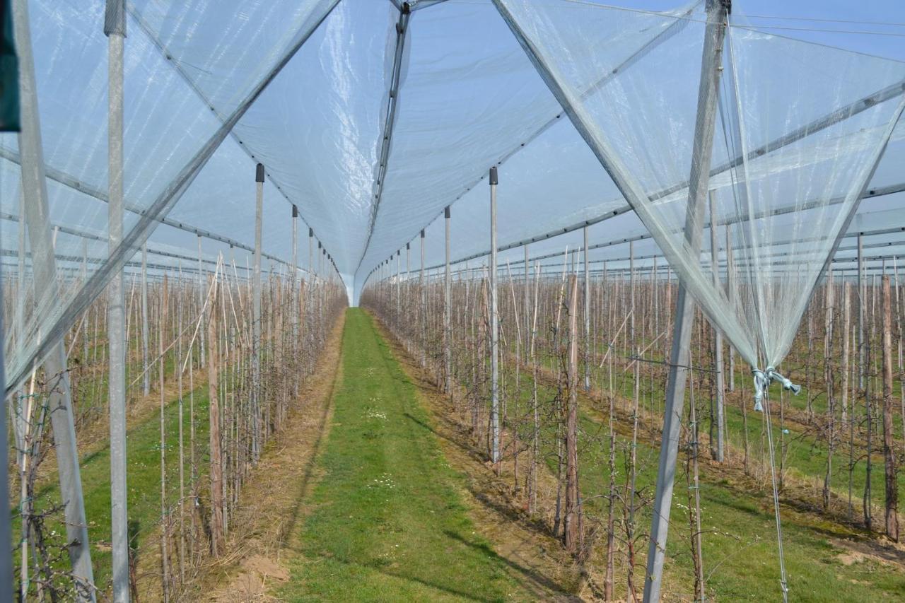 Hoeve Jadoul Gingelom Exteriör bild