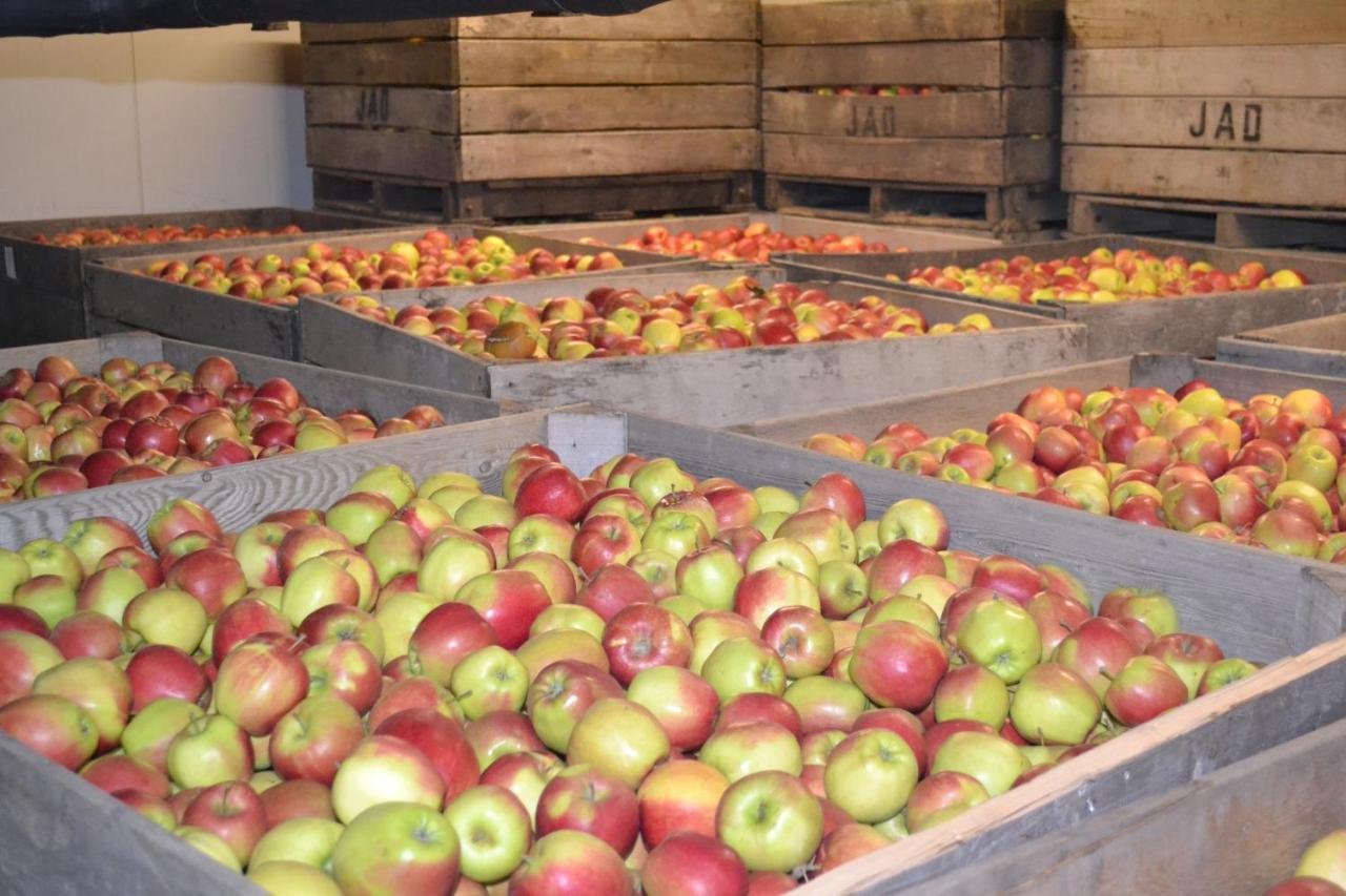 Hoeve Jadoul Gingelom Exteriör bild