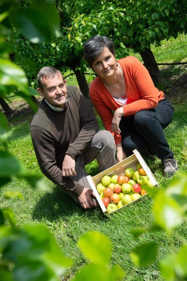 Hoeve Jadoul Gingelom Exteriör bild